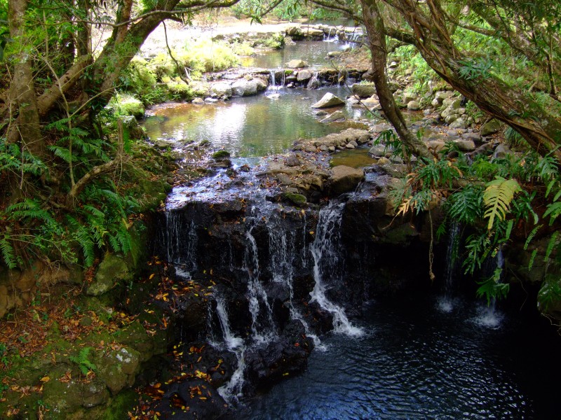 Mauritius 2010 - 0299 